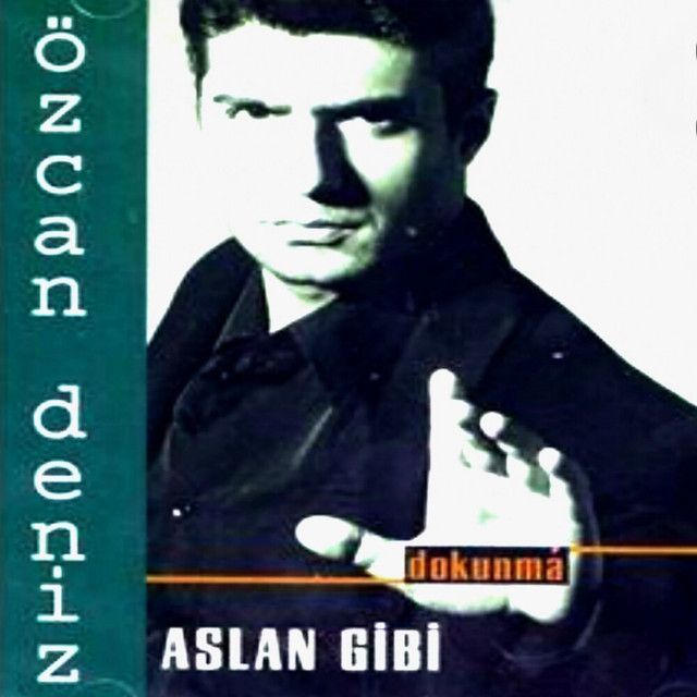 متن آهنگ Aslan Gibi از Özcan Deniz