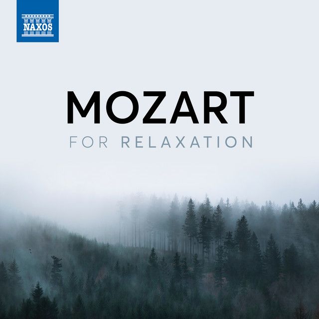 متن آهنگ Piano Sonata No. 10 in C Major, K. 330: Ii. Andante