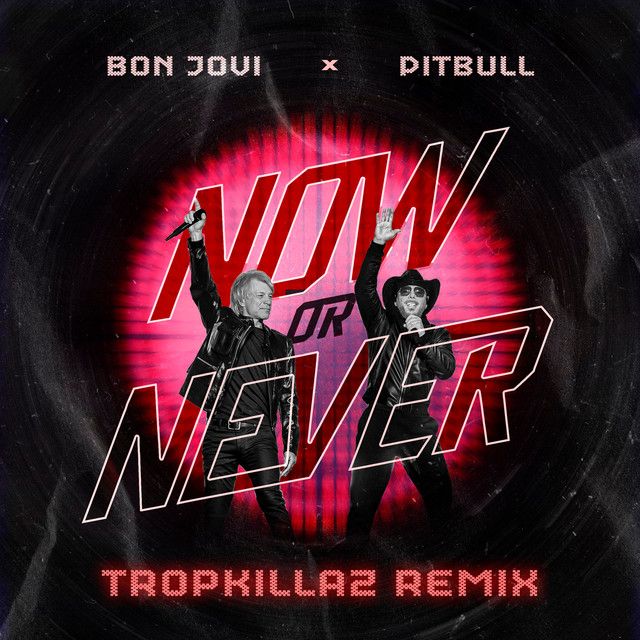 متن آهنگ Now Or Never (Tropkillaz Remix) از Pitbull