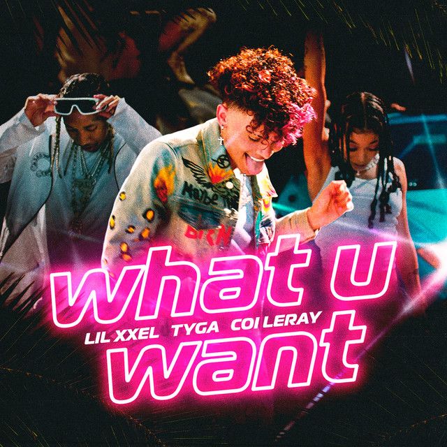 متن آهنگ What U Want از Tyga
