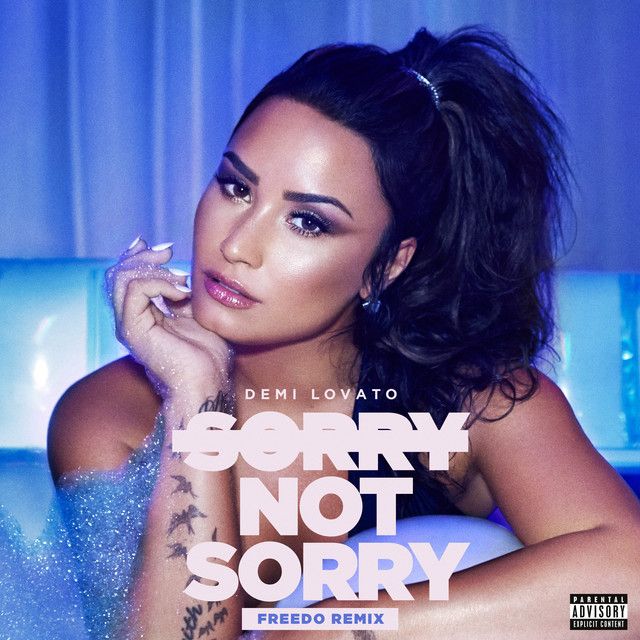 متن آهنگ Sorry Not Sorry - Freedo Remix از Demi Lovato