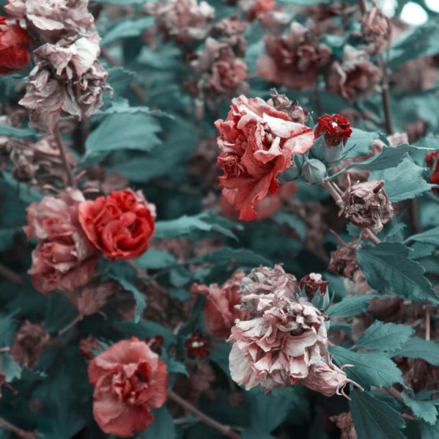 متن آهنگ عمق از بهرام