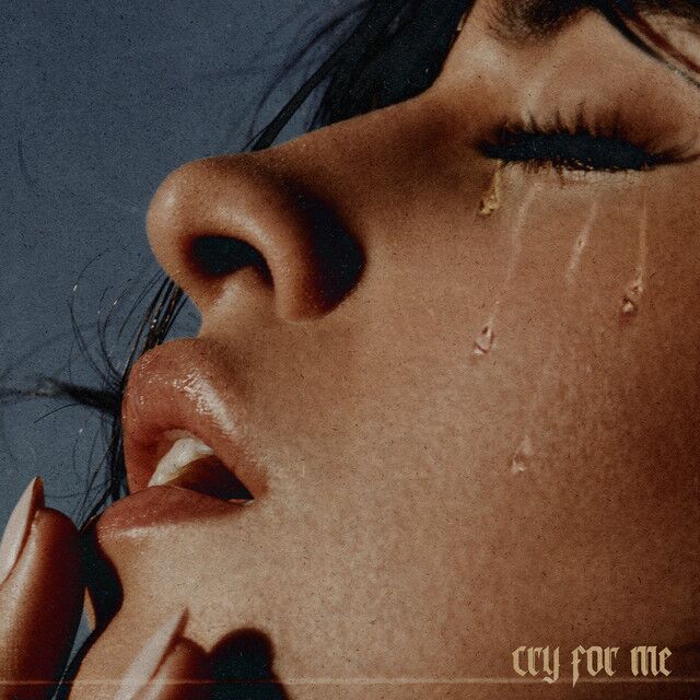 متن آهنگ Cry for Me از Camila Cabello