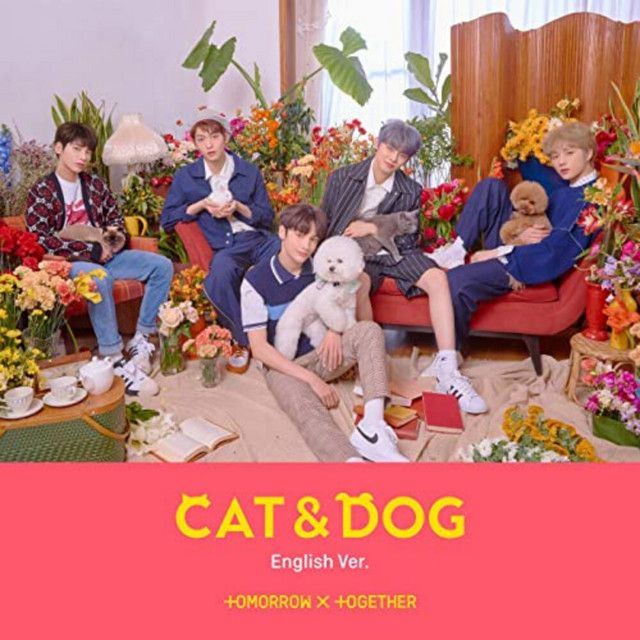 متن آهنگ Cat & Dog (English Version) از TOMORROW X TOGETHER