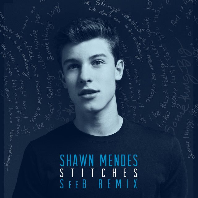 کاور آهنگ Stitches - Seeb Remix از Shawn Mendes