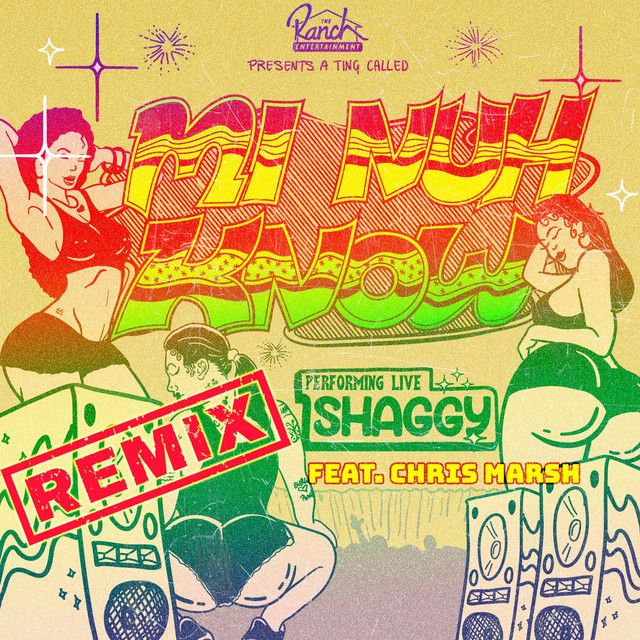 متن آهنگ Mi Nuh Know (Remix) از Shaggy