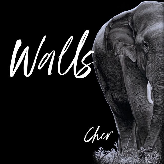 کاور آهنگ Walls از Cher