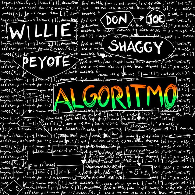 متن آهنگ Algoritmo (feat. Shaggy) (with Don Joe) از Shaggy