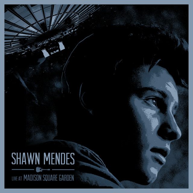 کاور آهنگ Stitches - Live از Shawn Mendes