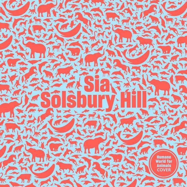 متن آهنگ Solsbury Hill - Humane World for Animals Cover از S