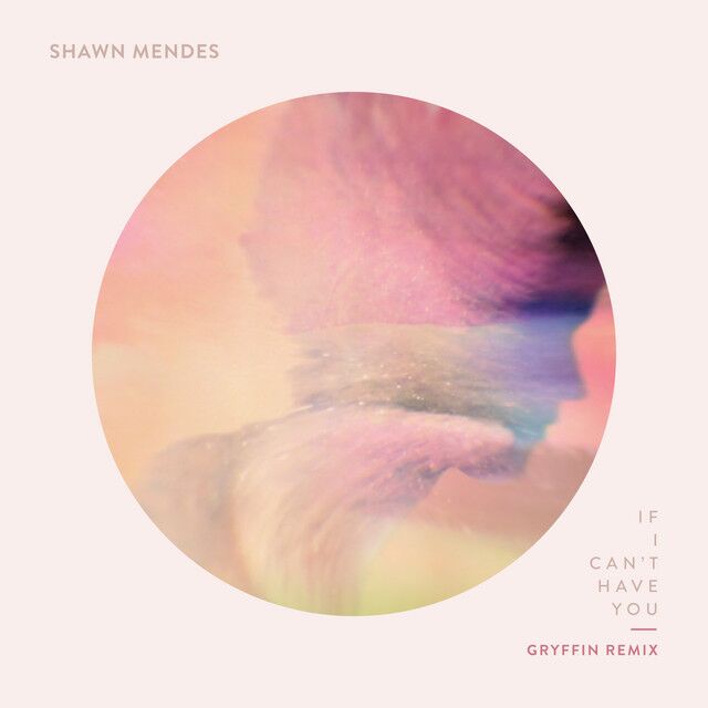 متن آهنگ If I Can't Have You - Gryffin Remix از Shawn Mendes