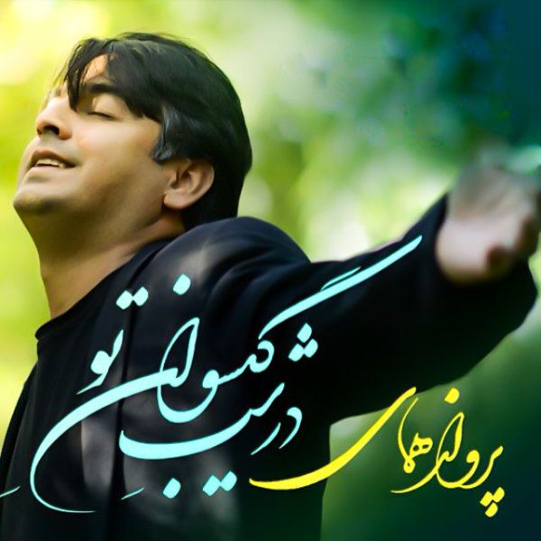 متن آهنگ آب طلب نکرده از پرواز همای