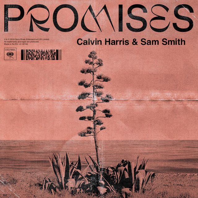 متن آهنگ Promises (with Sam Smith) از Sam Smith