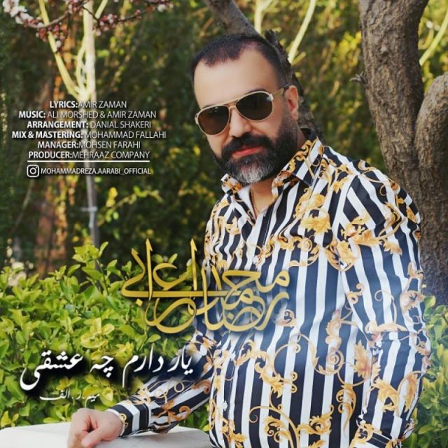 متن آهنگ یار دارم چه عشقی از محمدرضا اعرابی