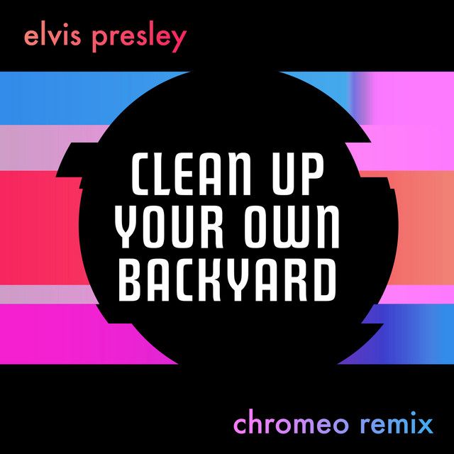 متن آهنگ Clean Up Your Own Backyard - Chromeo Remix از Elvis
