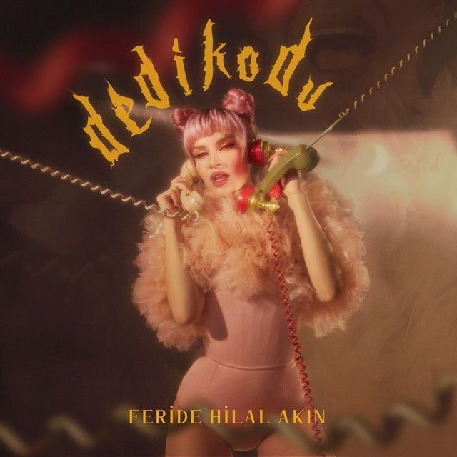 متن آهنگ Dedikodu از Feride Hilal Akın