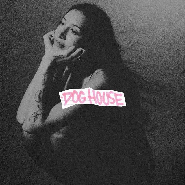 متن آهنگ DOG HOUSE (feat. Julia Wolf & Yeat) از Drake