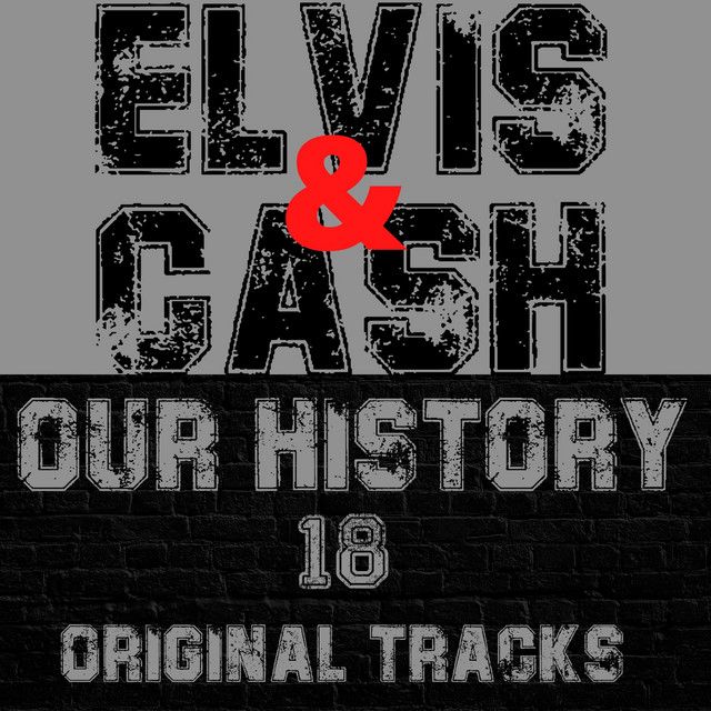 متن آهنگ I Was the One از Elvis Presley کاور آهنگ I Was the One از Elvis Presley
