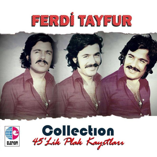 متن آهنگ Sevdalılar Beni Anlar از Ferdi Tayfur