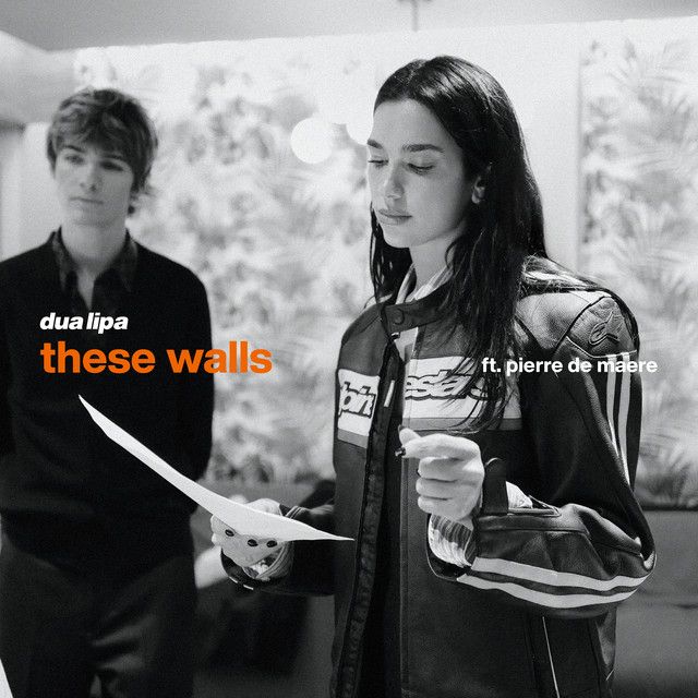 کاور آهنگ These Walls (feat. Pierre de Maere) از Dua Lipa