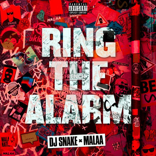کاور آهنگ Ring The Alarm از DJ Snake