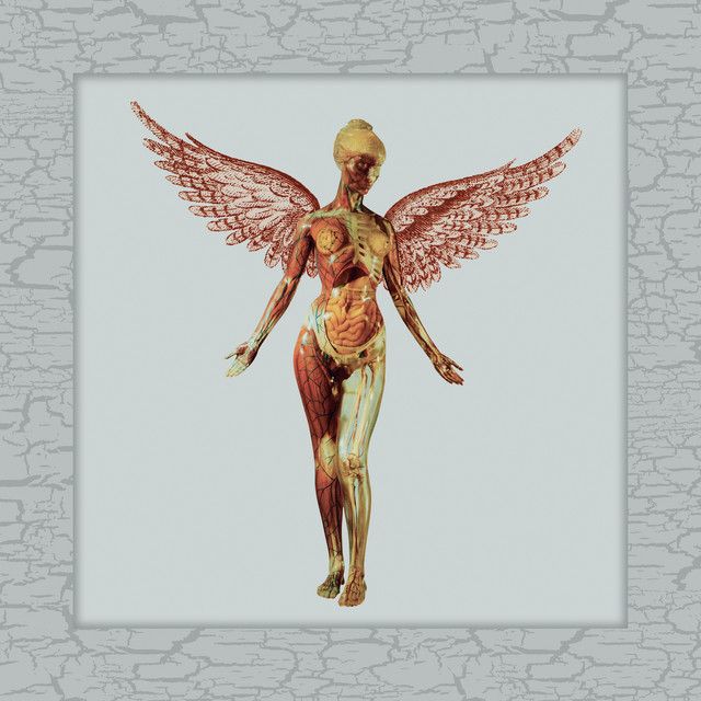 متن آهنگ Serve The Servants - 2023 Remaster از Nirvana