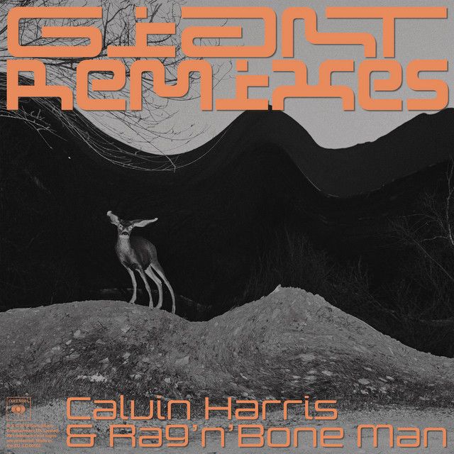 متن آهنگ Giant (with Rag'n'Bone Man) - Laidback Luke Remix ا